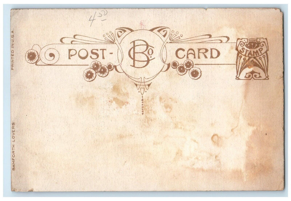 c1905 We Do Enjoy Ourselves Johnson City New York NY Pennant Unposted Postcard