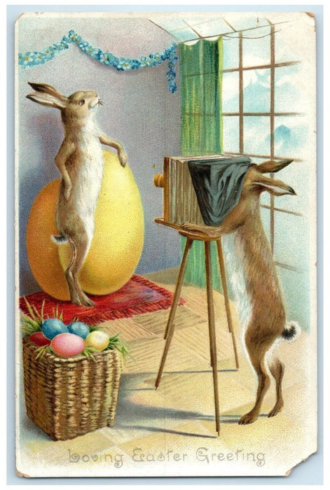 Easter Greeting Anthropomorphic Bunny Rabbit Eggs Camera Photographer Postcard