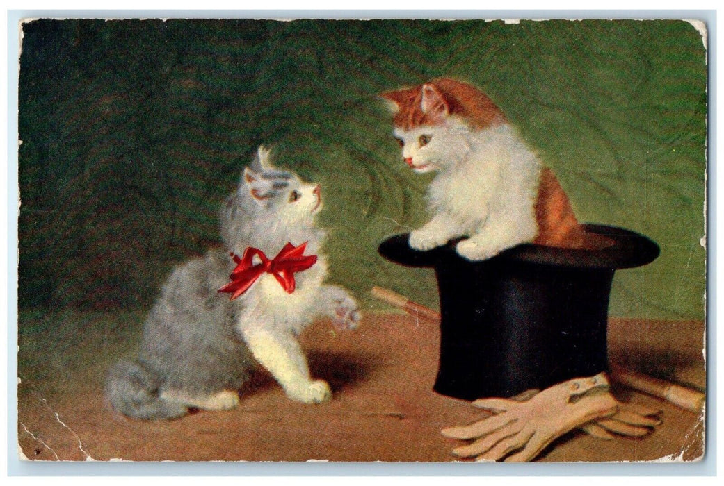 1908 Cute Cat Kittens In Hat Animals Beardsley Minnesota MN Antique Postcard