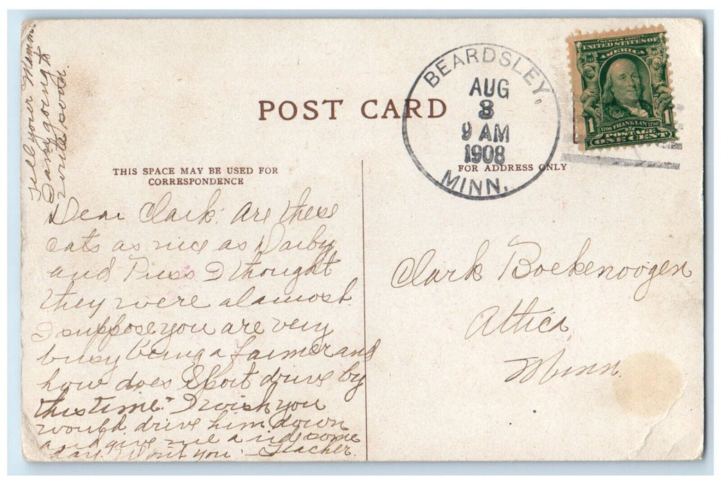 1908 Cute Cat Kittens In Hat Animals Beardsley Minnesota MN Antique Postcard