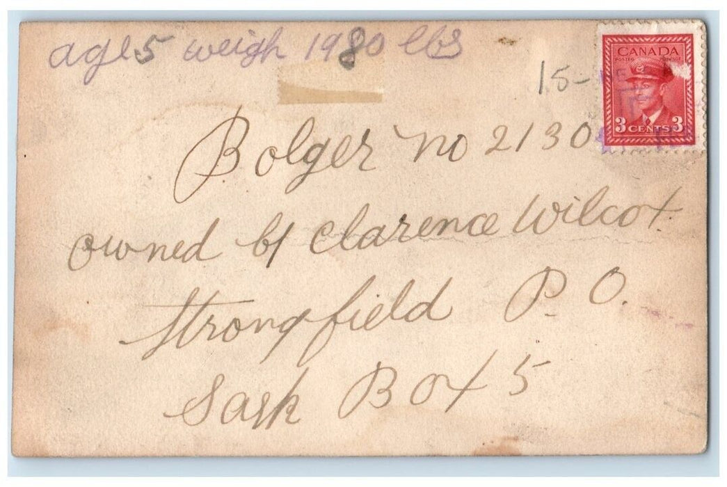 c1910's Horse Farmer Wilcox Bolger Saskatchewan Canada RPPC Photo Postcard