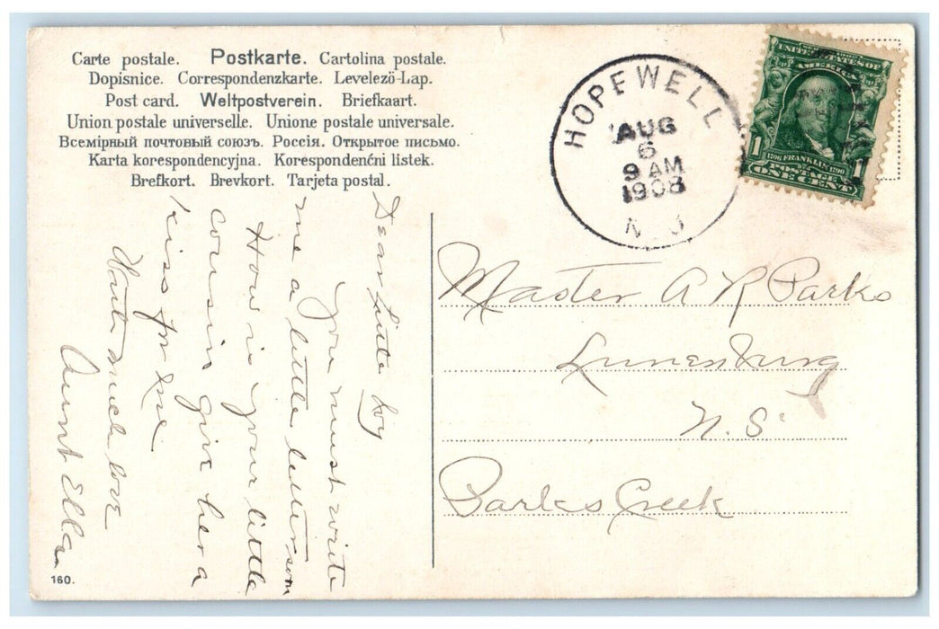 1908 Children Daisy Flowers And Bird Hopewell NS Canada Posted Antique Postcard