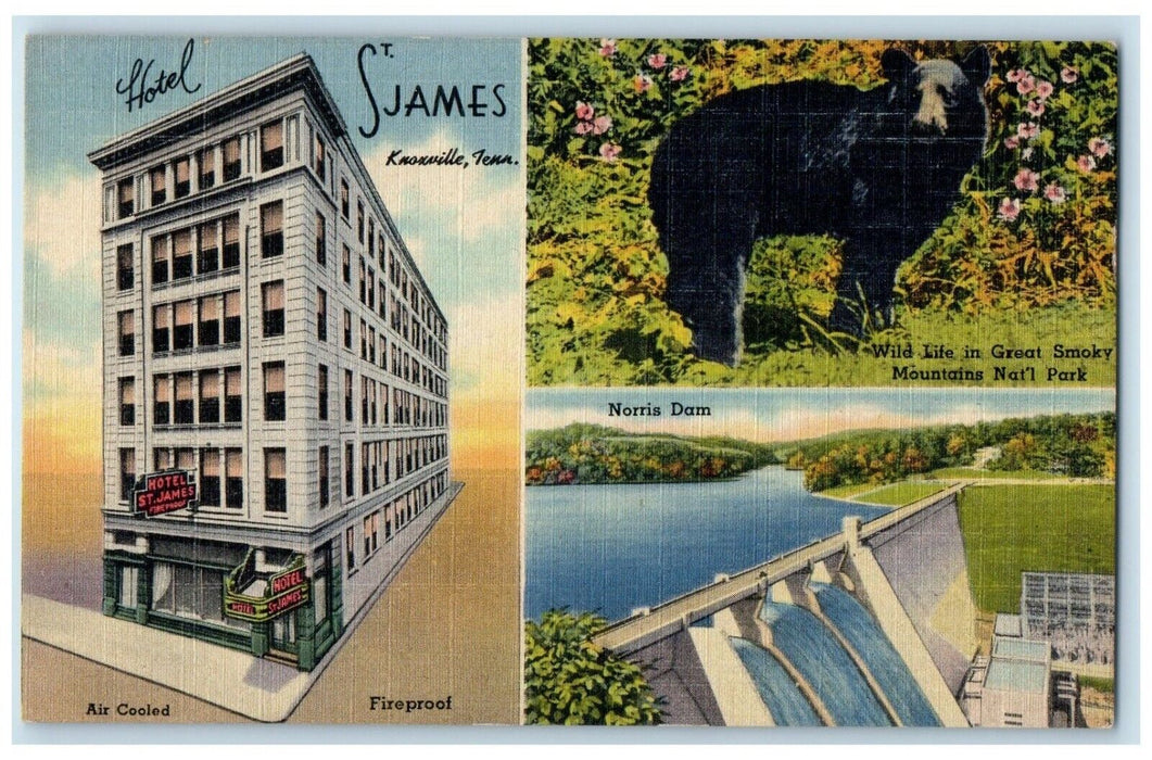 c1930's Hotel St. James Knoxville Tennessee TN Multiview Vintage Postcard