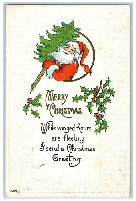 c1910's Christmas Santa Claus Pine Tree Berries Lunenburg NS Antique Postcard