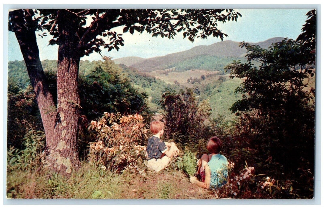 c1960 Virginia's Two Highest Mountains Mt. Rogers Whitetop Virginia VA Postcard