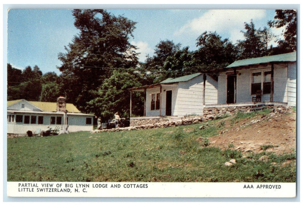 c1960 Partial View Big Lynn Lodge Cottages Switzerland North Carolina Postcard