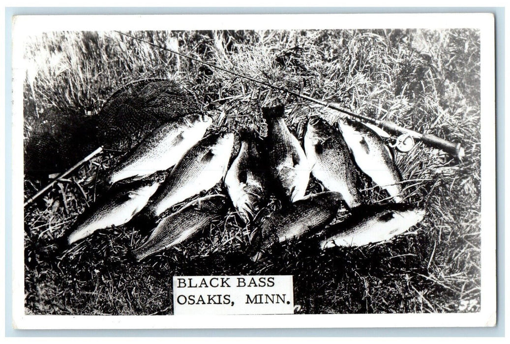 1959 Black Bass Fishes Osakis Minnesota MN RPPC Photo Posted Vintage Postcard
