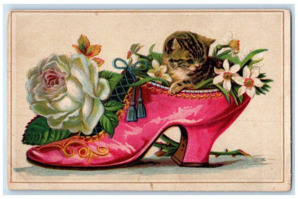 c1905 Cute Kitten In Pink Boot Shoes With Flowers Spring Hill Kansas KS Postcard