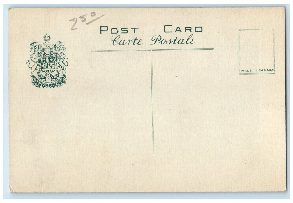 c1930's Sheep Grozing Experimental Form Ottawa Ontario Canada Postcard