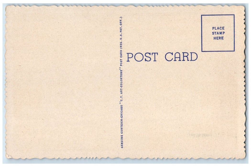 c1940 Spark's Cascade Spark's Foundation Park Jackson Michigan Vintage Postcard