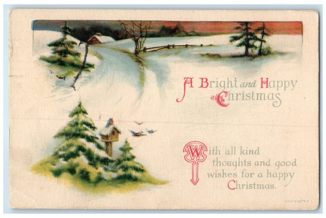 1920 Christmas Winter Pine Trees Birds Cage Wolf St. John New Brunswick Postcard