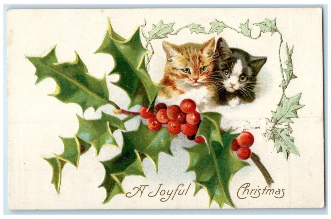 c1910's Christmas Cat Kitten Holly Berries Embossed Winsch Back Antique Postcard