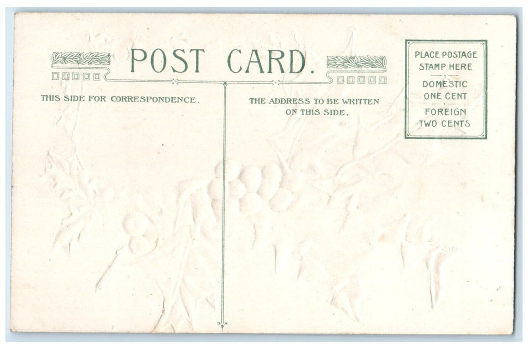 c1910's Christmas Cat Kitten Holly Berries Embossed Winsch Back Antique Postcard