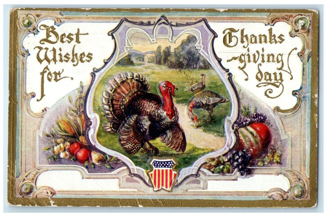 c1910's Thanksgiving Turkey And Fruits Embossed Colorado City CO Posted Postcard
