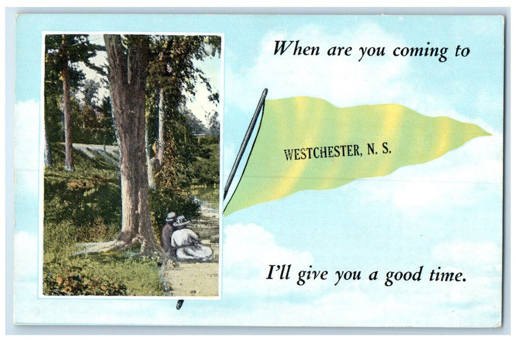 1920 Trees Couple Green Pennant Message Westchester Nova Scotia Canada Postcard