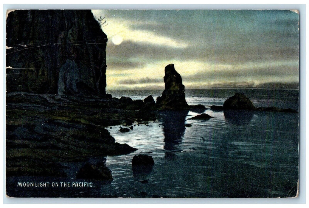 1910 View Of Moonlight On The Pacific Bellingham Washington WA Antique Postcard