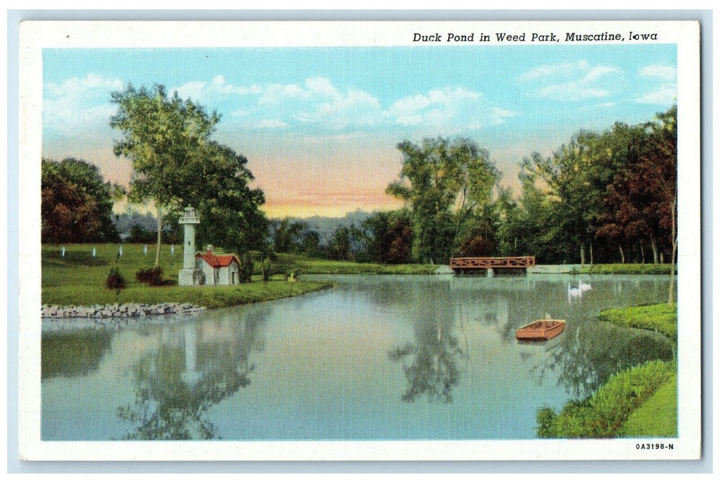 c1940 Duck Pond Weed Park Canoe Boat River Lake Muscatine Iowa Vintage Postcard