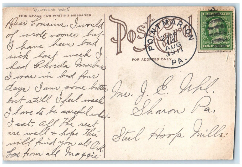 1911 Two Pointers Hunting Dogs Point Marion Pennsylvania PA Antique Postcard