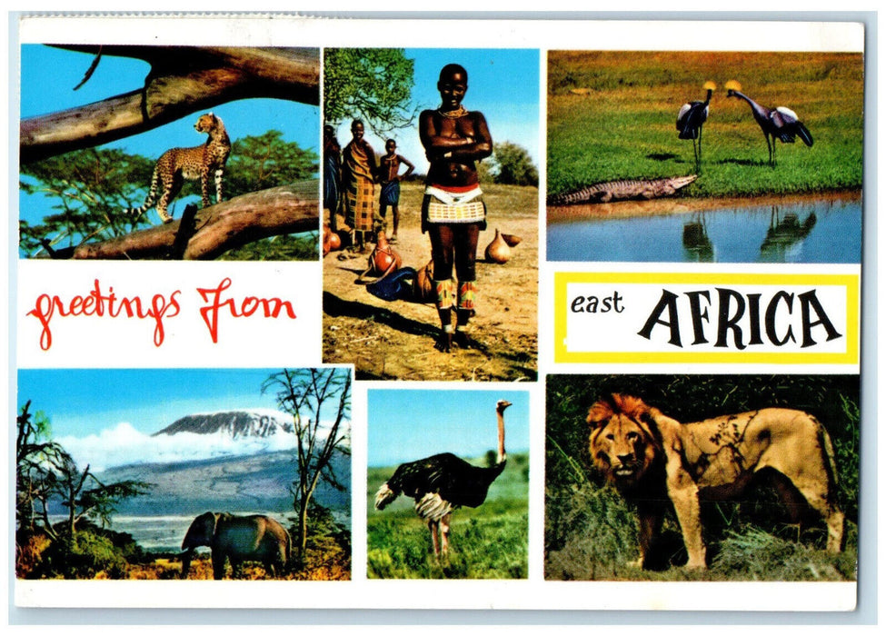 1971 Animals Nature Greetings from East Africa Multiview Posted Vintage Postcard