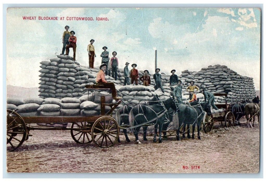 1910 Wheat Blockade At Cottonwood Idaho ID, Horse Carriage Antique Postcard