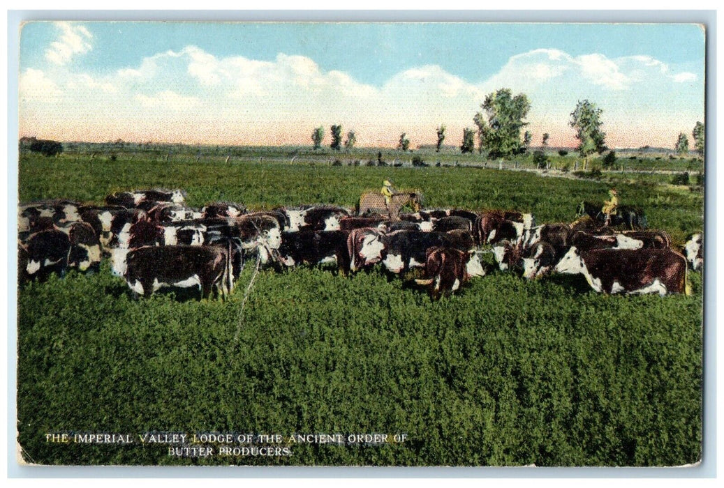 1910 Imperial Valley Lodge Ancient Order Butter Producers California CA Postcard