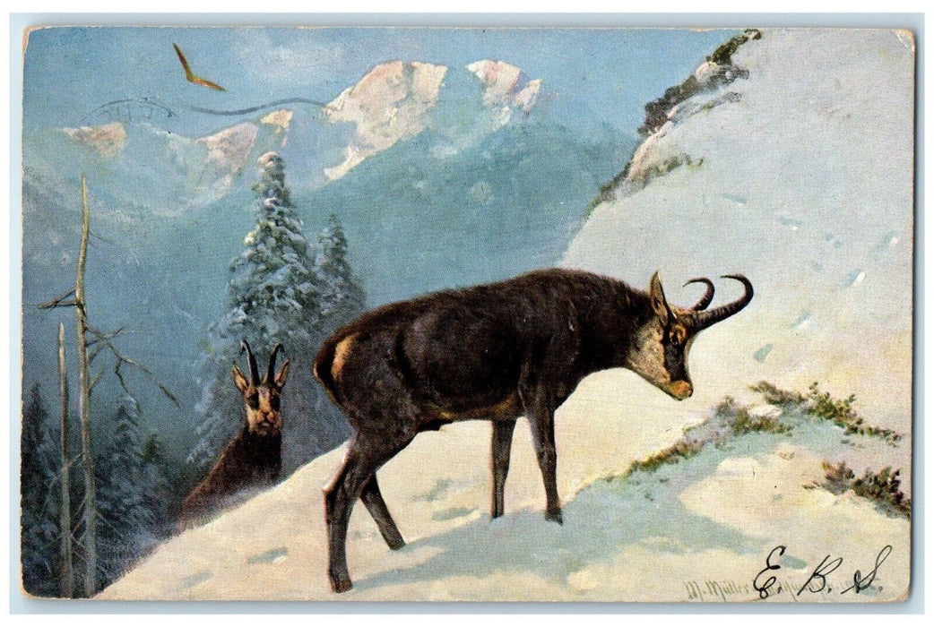 1906 Muller Art Mountain Goat Bethlehem Pennsylvania PA Posted Antique Postcard
