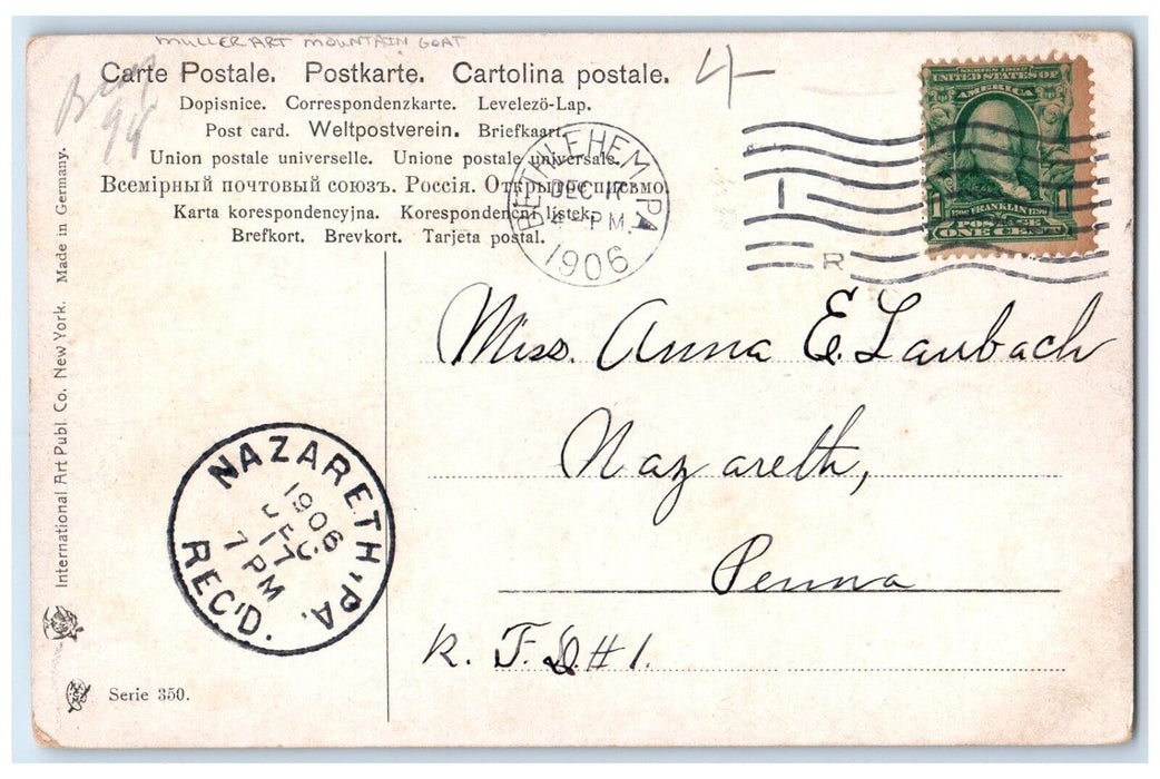 1906 Muller Art Mountain Goat Bethlehem Pennsylvania PA Posted Antique Postcard
