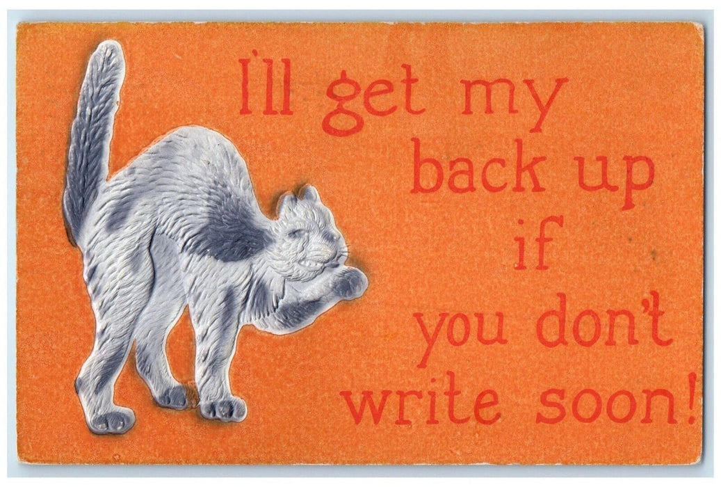 1913 Cat I'll Get My Back Up If You Don't Write Soon Embossed Orange MA Postcard