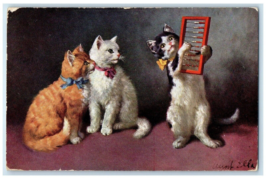 c1910's Cute Cat Kitten Lunenburg Nova Scotia NS Canada Animals Posted Postcard