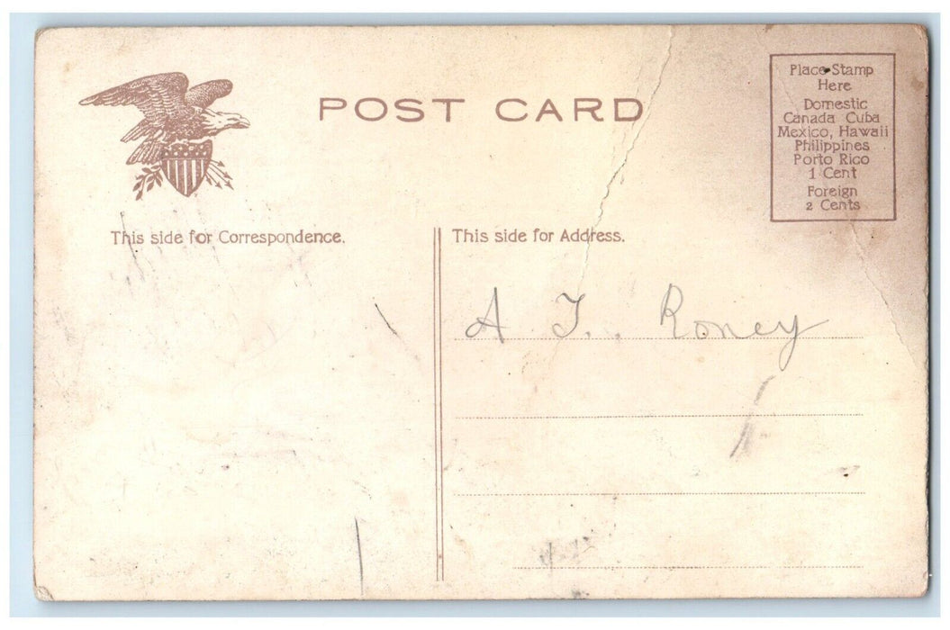 c1910's Couple Kissing Romance Hammock Posted Antique Postcard