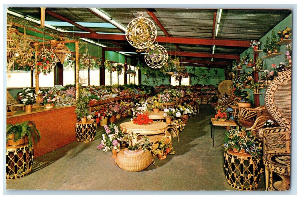c1960 Basketville Flower Room Basket Store Interior Putney Vermont VT Postcard