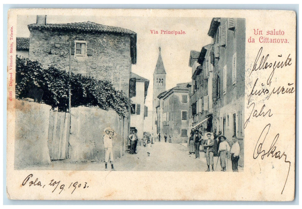 1903 Greetings from Cittanova Main Street Italy Antique Posted Postcard