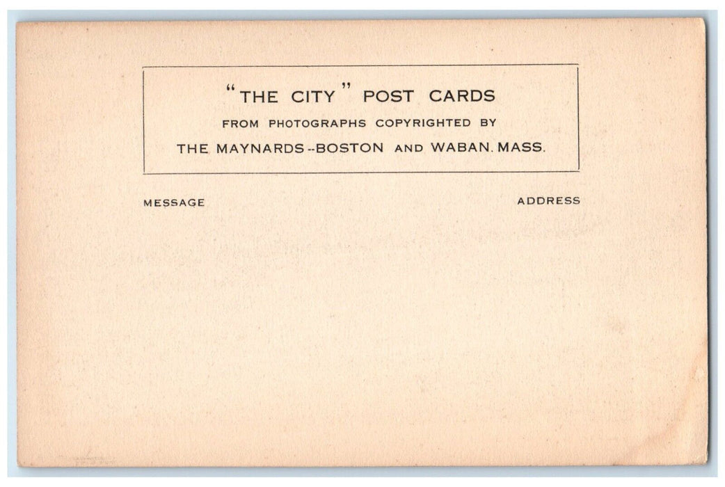 c1905 Smith College Students Building The City Waban Massachusetts MA Postcard