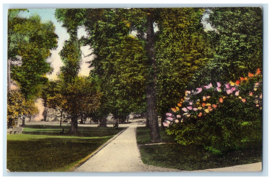 1940 Lake Front Promenade Tree Lake Chautauqua New York Vintage Antique Postcard