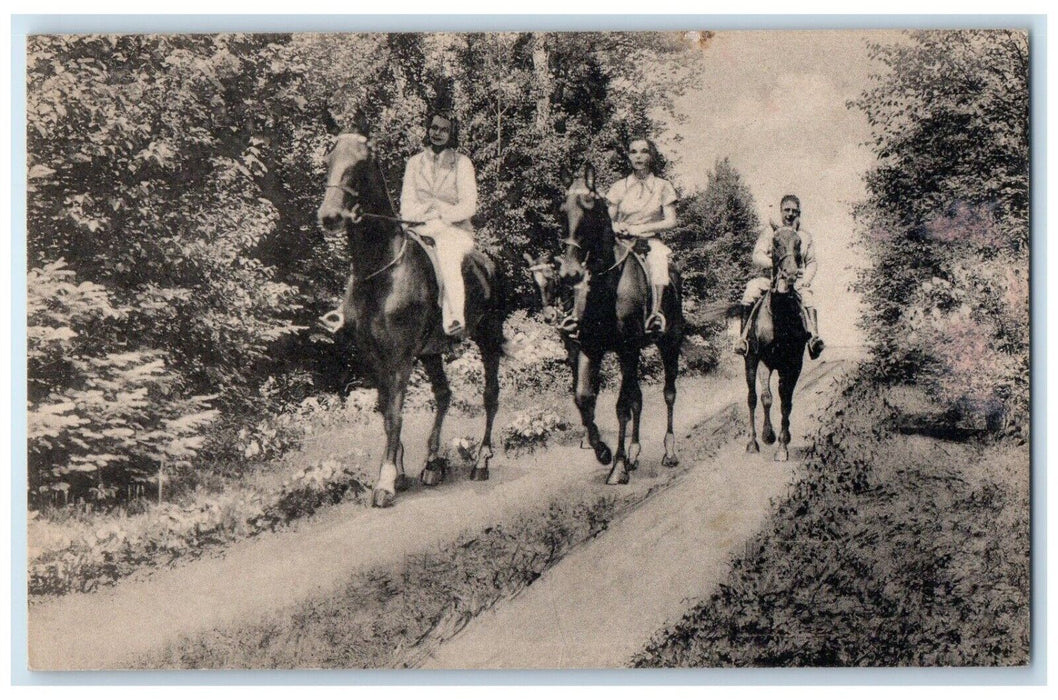 c1940 Morning Ride Pocono Manor Inn Horse Pocono Manor Pennsylvania PA Postcard