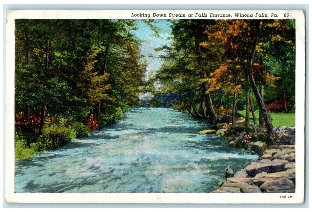 1947 Looking Down Stream Falls Entrance Winona Falls Pennsylvania PA Postcard