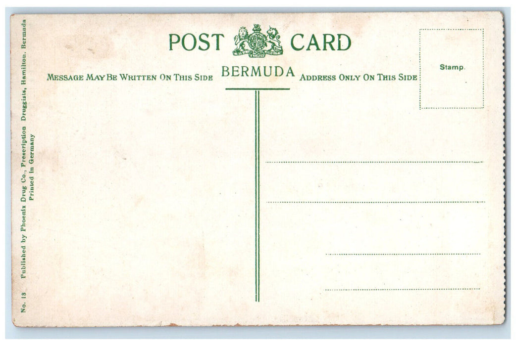 c1910 Stairs View A Novel "Flower-Garden" Bermuda Antique Unposted Postcard