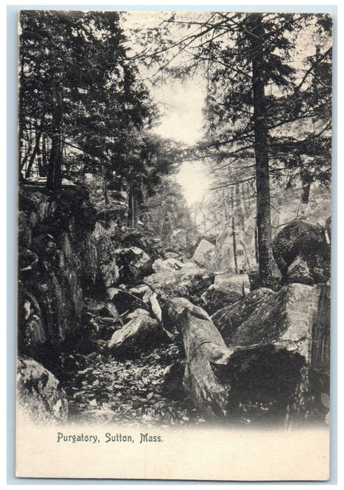 c1905 Scenic View Rocks Trees Forest Purgatory Sutton Massachusetts MA Postcard