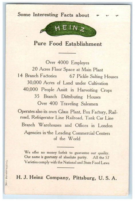 Pretty Girl Heinz Pure Food Establishment Daisy Flowers Advertising Postcard