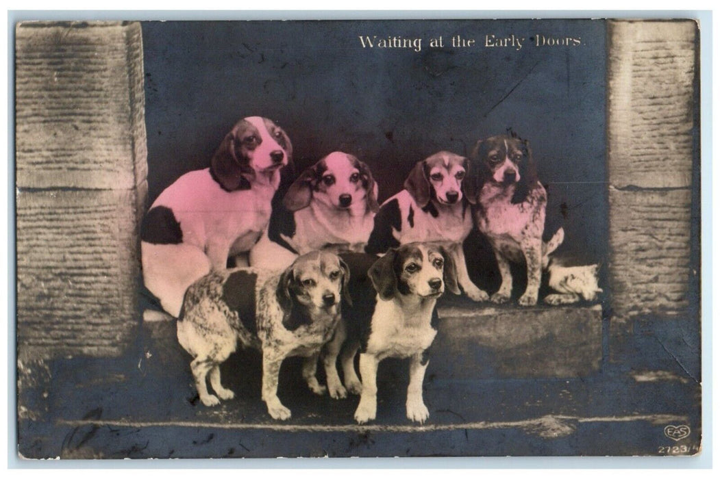 c1910's Waiting At The Early Doors Cute Puppies Beagle Dogs RPPC Photo Postcard