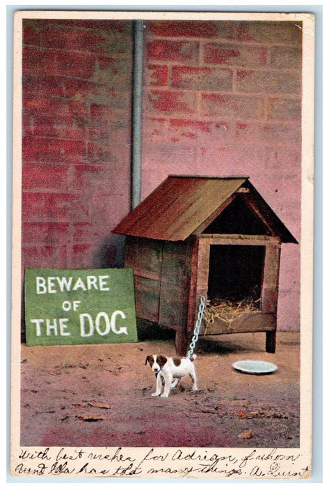 1908 Baby Terrier Dog House Hopewell New Jersey NJ Bamforth Antique Postcard