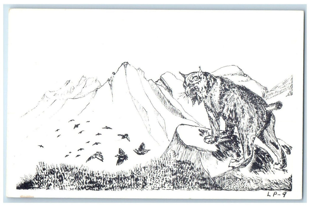 c1910's Bobcat Cliff McCurdy Art Cowboy The Lone Packer Artist Vintage Postcard