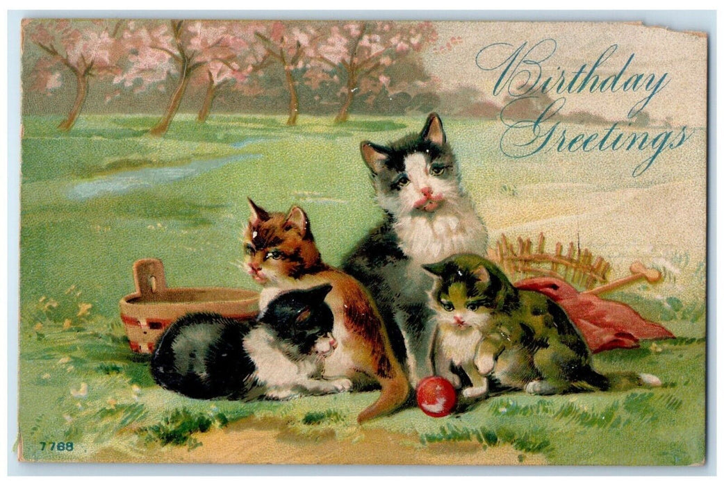 1911 Birthday Greetings Cat Kittens Embossed Eldara Illinois IL Antique Postcard