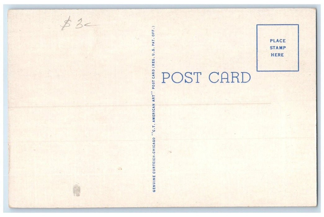 1940 Bear Falls Platt National Park Sulphur Oklahoma OK Vintage Antique Postcard