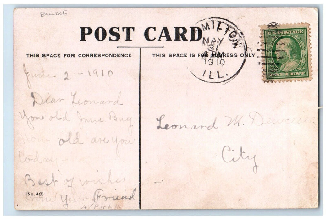 1910 Woman Hammer Brass Tacks Bulldog Hamilton Illinois IL Antique Postcard