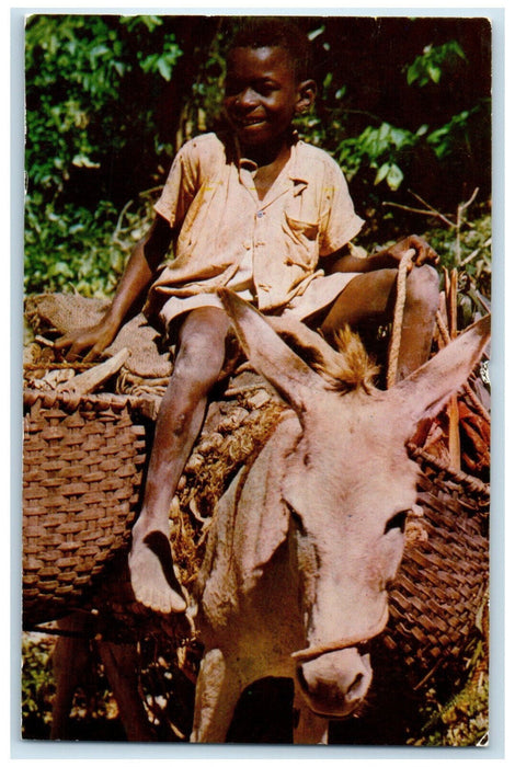 c1950's The Little Woodman Riding Buck Jamaica BWI Posted Vintage Postcard