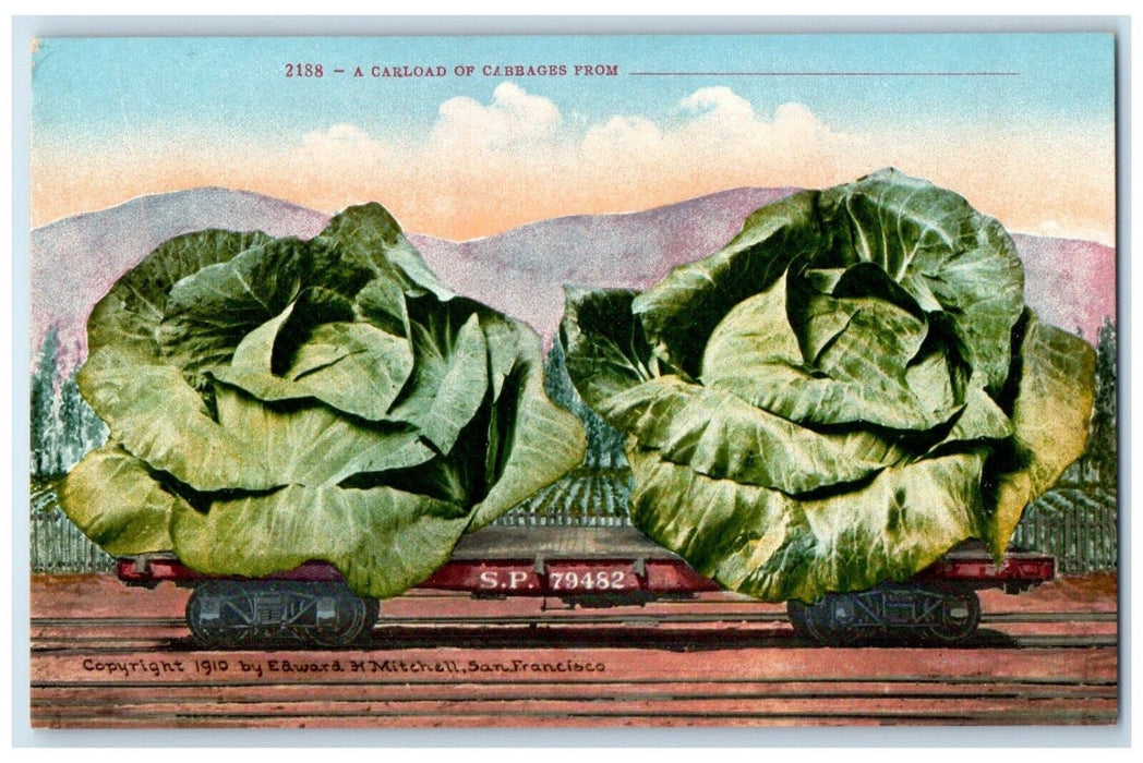 c1910's A Carload Of Cabbage Exaggerated SP 79482 Embossed Antique Postcard