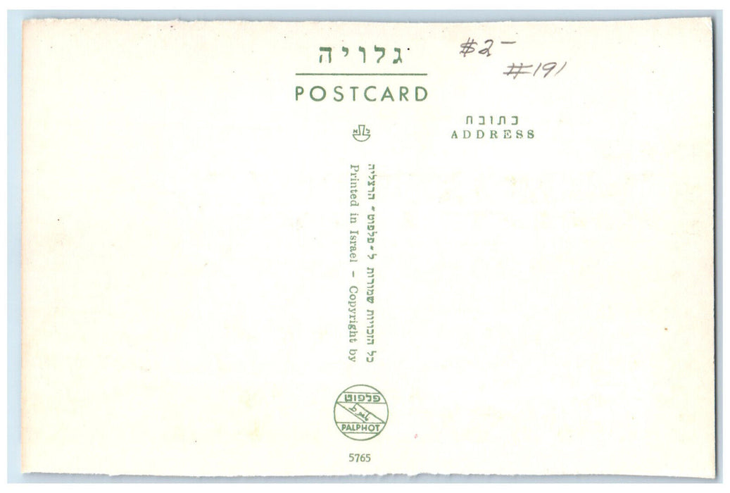 c1950's Tel Aviv Yafo Fr. R. Mann Auditorium Israel Vintage Unposted Postcard