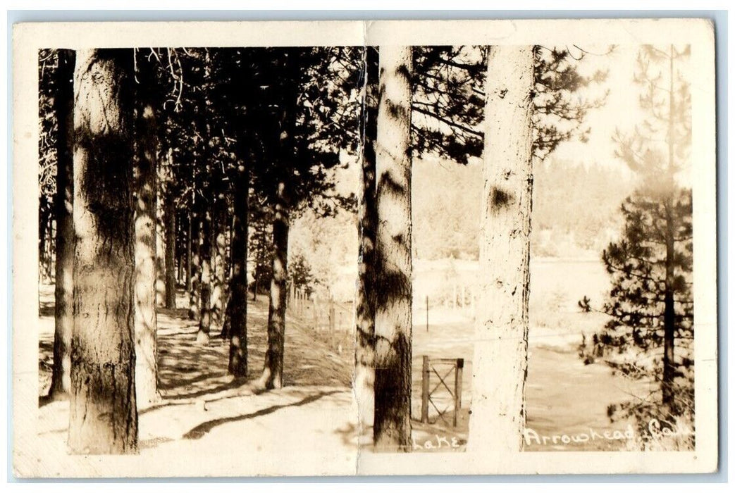 1945 Arrowhead Lake Forest Trail View California CA RPPC Photo Posted Postcard