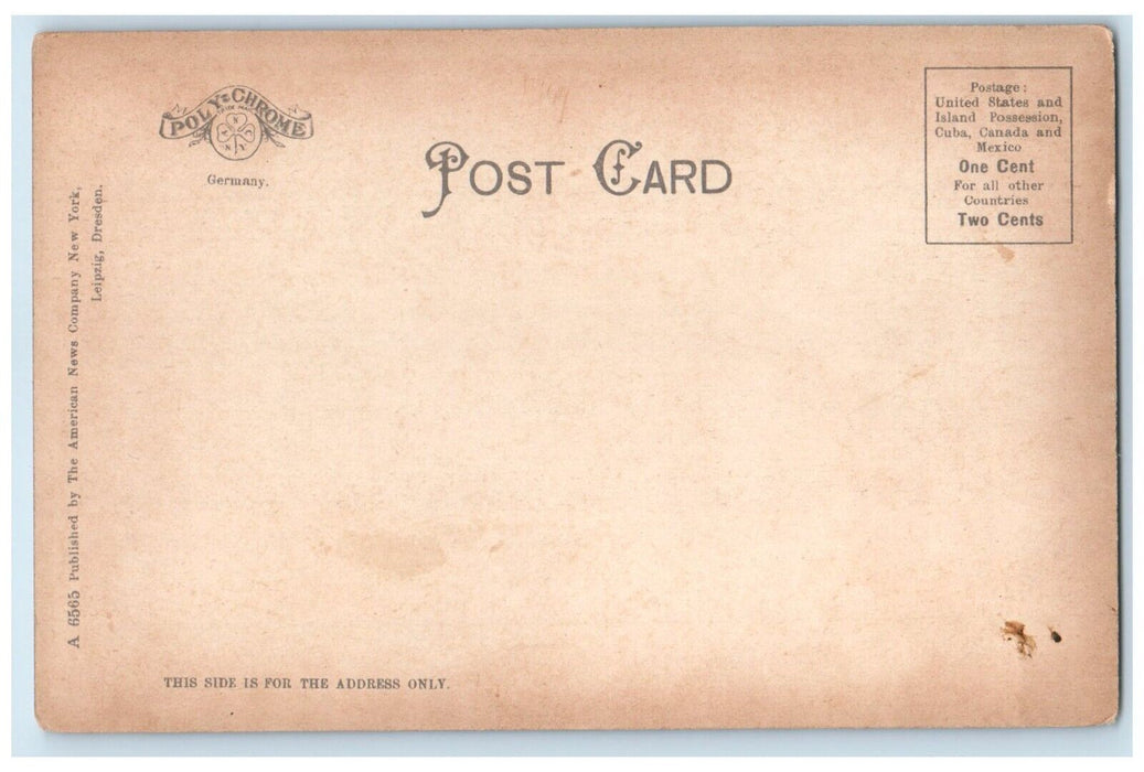 c1905 Mexican Monument Statue Harrisburg Pennsylvania Vintage Antique Postcard